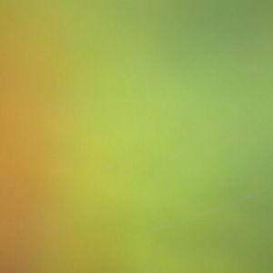 Meet your Posher, Sadeta